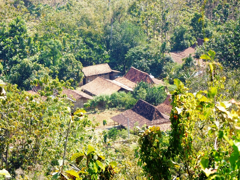 Pesarean Pangeran Benowo berada di hutan jati perhutani. Pemukiman terdekat dengan pesarean ini adalah Dusun Morotopo Desa Wateshaji, Kecamatan Pucakwangi, Kabupaten Pati, Jawa Tengah / Clakclik.com
