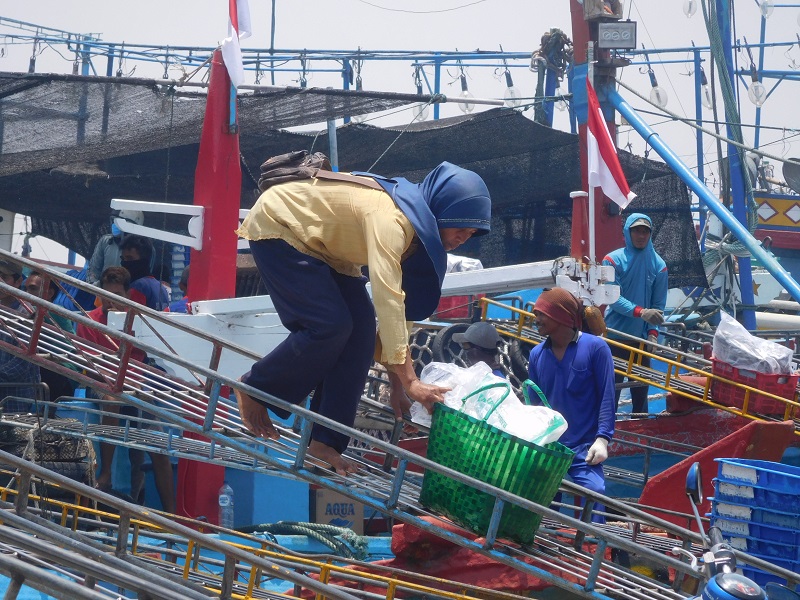 perempuan terlibat dalam proses bongkar ikan di pelabuhan juwana, (12/10/2019) / Clakclik.com