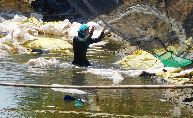 Seorang pekerja terlihat sedang membersihkan limbah plastik di Sungai Juwana, Kamis (7/11/2019) / Clakclik.com
