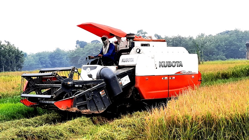 Treser Padi: Meningkatkan Produktivitas Pertanian dengan Teknologi Canggih