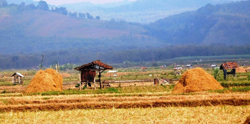 Kawasan Kendeng Tambakromo, Pati / Foto: Clakclik.com